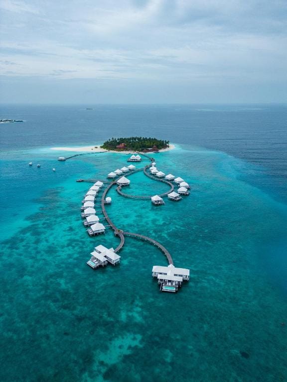 Thundufushi